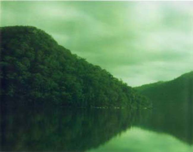 A wooded hillside reflected in the still water of Woy Woy Bay.